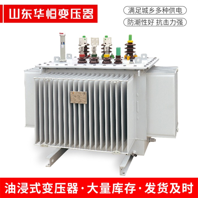 S13-10000/35西区西区西区电力变压器